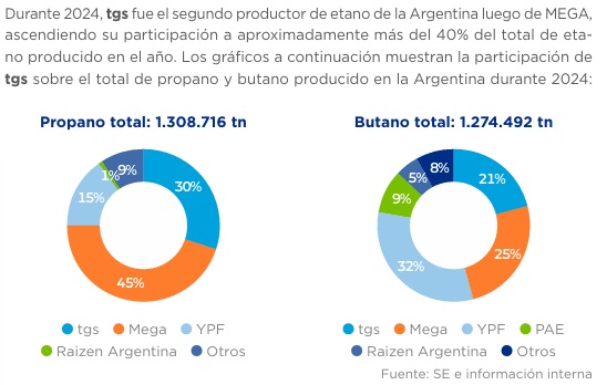 Gráfico, Gráfico circular El contenido generado por IA puede ser incorrecto.